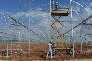 How to make greenhouses, how to do the right greenhouse.